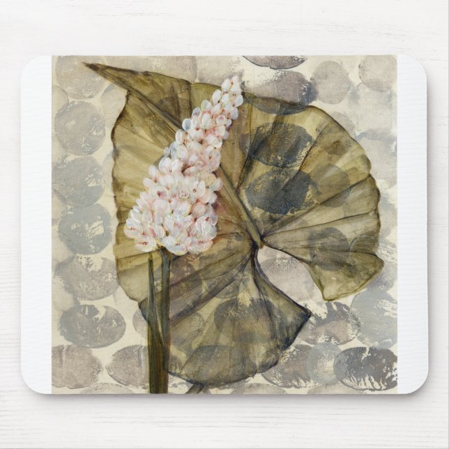 HAZ25 Amazonia 3.tif Musmatta (Framsidan)