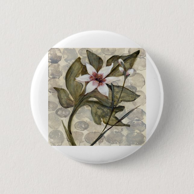 HAZ26 Amazonia 4.tif Knapp (Framsida)