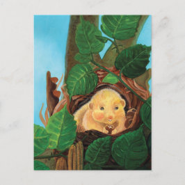 Hazal dormus ätande hasselnut vykort