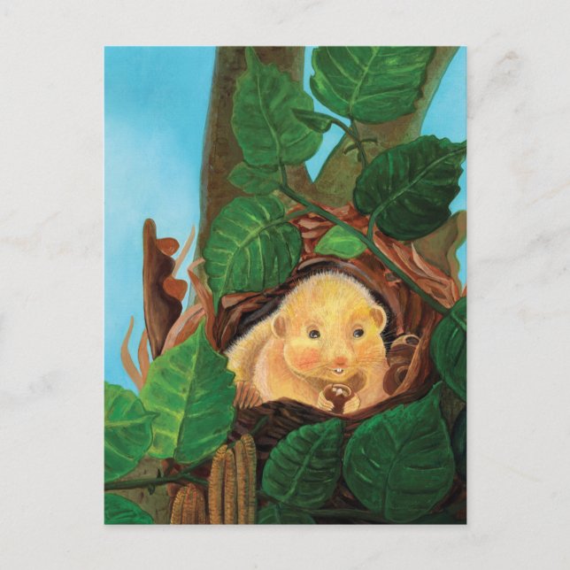 Hazal dormus ätande hasselnut vykort (Framsida)