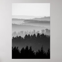 Hazy Forest Backe Black and White Ligcape Photo