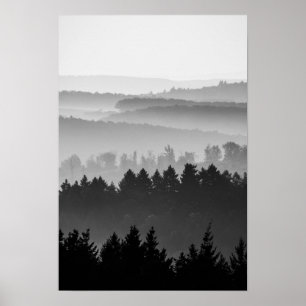 Hazy Forest Backe Black and White Ligcape Photo Poster