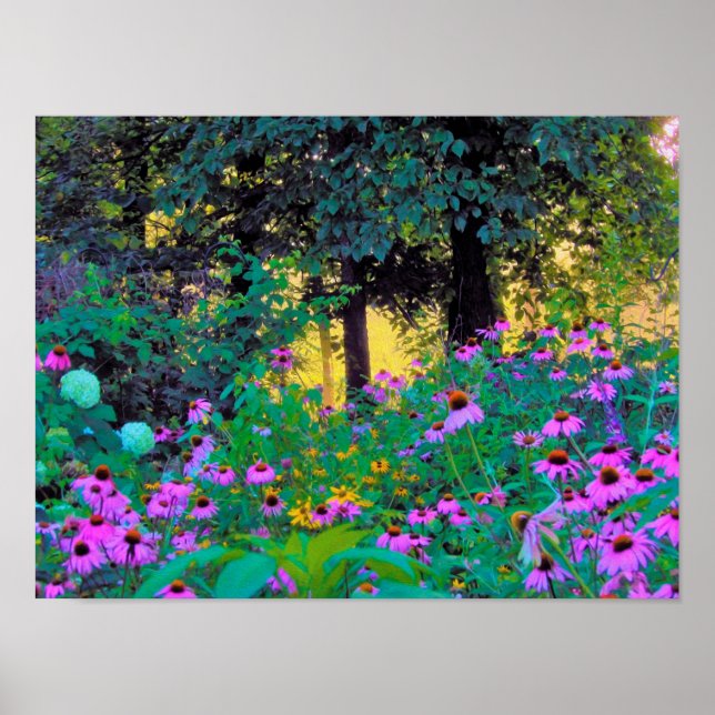 Hazy God morgon Sunrise i My Rubio Garden Poster (Framsidan)