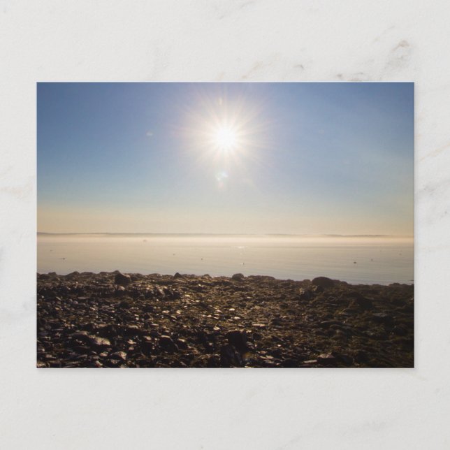 Hazy Morgon på Gouldsboro Bay, Maine Vykort (Framsida)