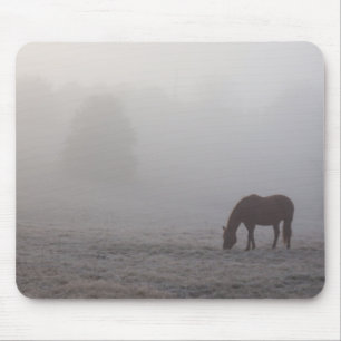 Hazzy Grazing Musmatta