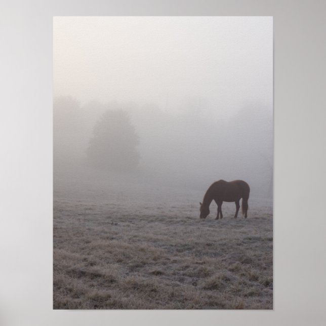 Hazzy Grazing Poster (Framsidan)