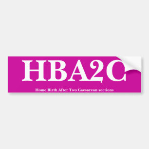 HBA2C BILDEKAL