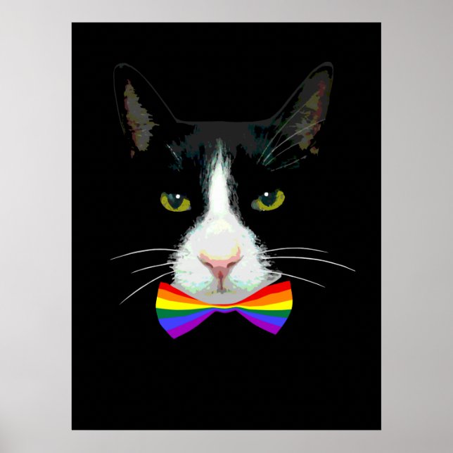 HBT-gaykatt med regnbåge Poster (Framsidan)