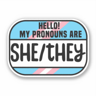 HBT Namn bricka Transgender Pronounons de Klistermärken