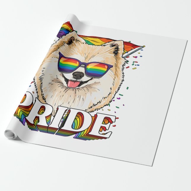 HBT Pommern Gay pride HBT TQ Rainbow Flagga Presentpapper (Utrullad)
