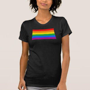 HBT-Pride Flagga/regnbåge-Flagga Tee
