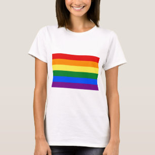 HBT Rainbow Gay pride Flagga T Shirt
