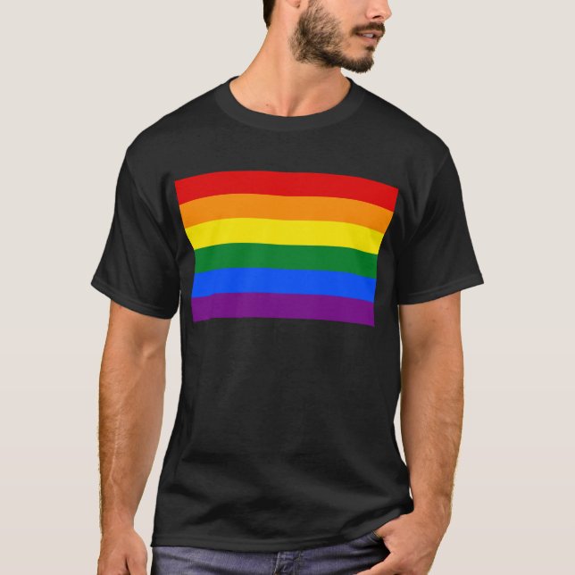 HBT Rainbow Gay pride Flagga T Shirt (Framsida)