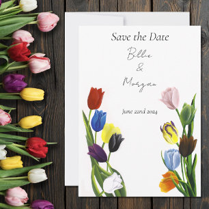 HBT TQ plus Tulip Flowers Spara Datumet