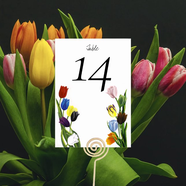 HBT TQ plus Tulips Flowers Bordsnummer (Skapare uppladdad)