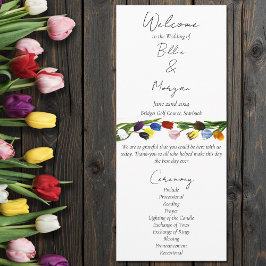 HBT TQ plus Tulips Flowers Program