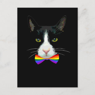 HBTQ Gay Katt med Regnbåge Snibb Vykort