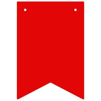 Hbtq-stolthet Pennant Flagg Banner Vimplar