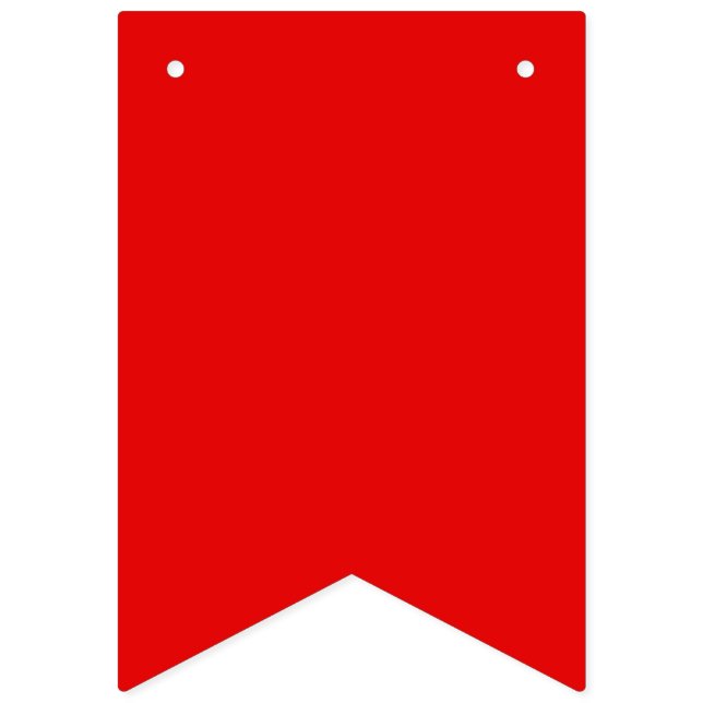 Hbtq-stolthet Pennant Flagg Banner Vimplar (Sextonde flaggan)