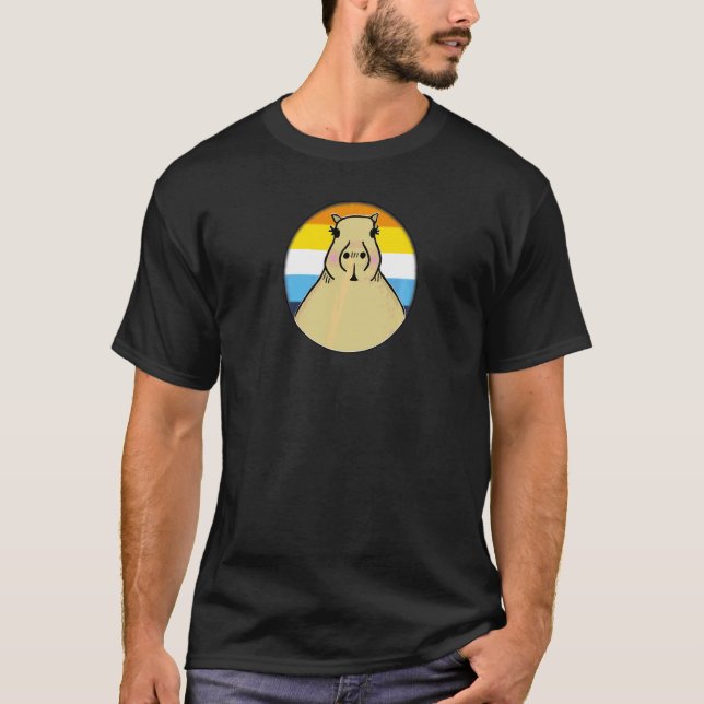 Hbtqia+ Kapybara I Aroace Pride Regnbåge Cirkel H T Shirt (Framsida)