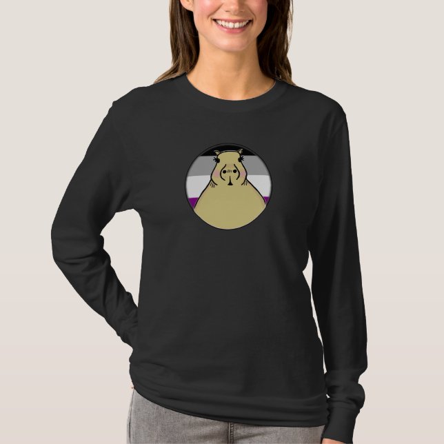 Hbtqia+ Kapybara i aseksuell stoltheksregnbåge cir T Shirt (Framsida)