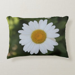 HD-fotografi av en Daisy Prydnadskudde