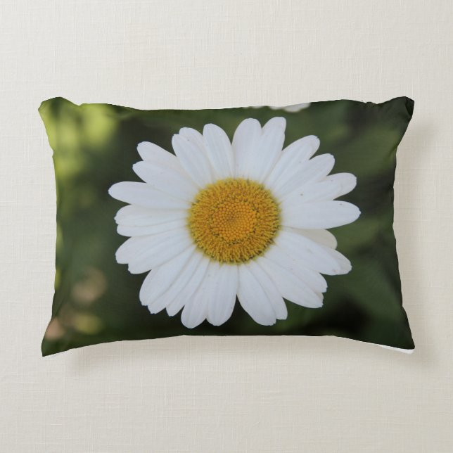 HD-fotografi av en Daisy Prydnadskudde (Framsidan)