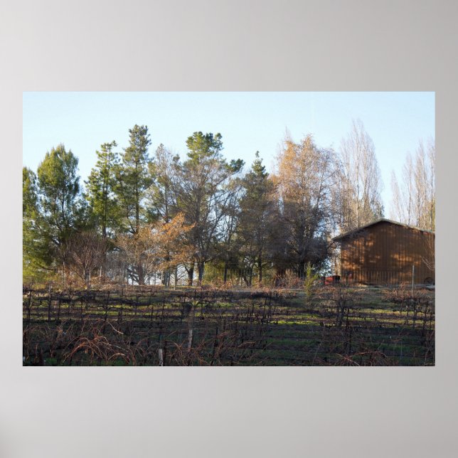 Hdagstone Vineyard i Paso Robles, CA Poster (Framsidan)