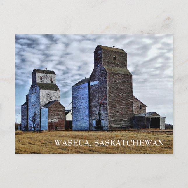 HDR Hösten Prairie Sentinels Travel Postcard Vykort (Framsida)