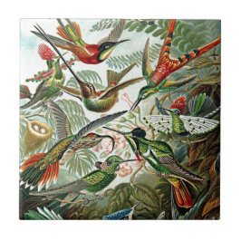 Heackel Nature Art Bird Design Hummingbird Kakelplatta