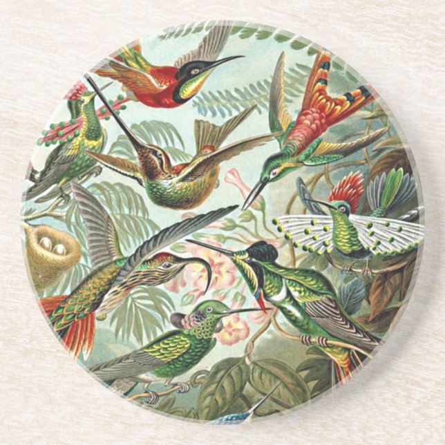 Heackel Nature Art Bird Design Hummingbird Underlägg Sandsten (Framsidan)