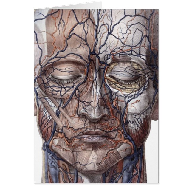 Head åder och muskler hälsningskort (Framsidan)