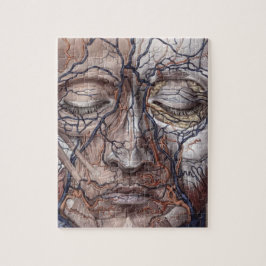 Head åder och muskler pussel