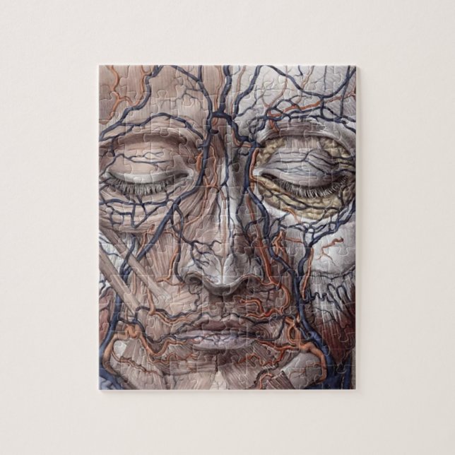 Head åder och muskler pussel (Vertikal)