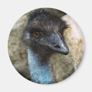 Head magnet för Emu