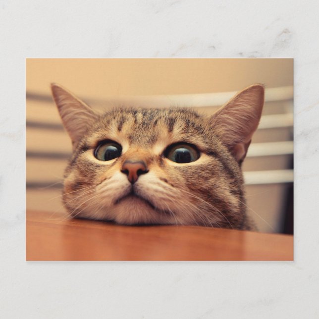 Head on table vykort (Framsida)