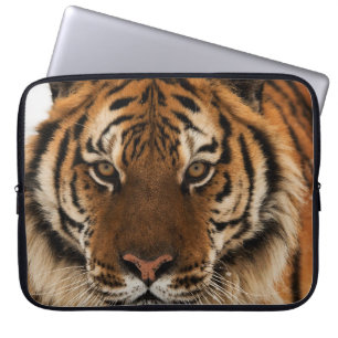 Head Shot of Siberian Tiger Laptop Fodral