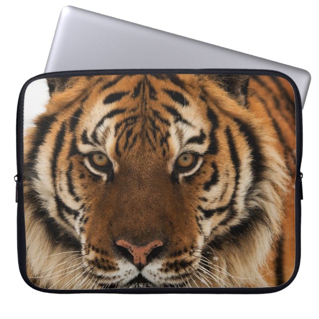 Head Shot of Siberian Tiger Laptop Fodral (Framsidan)