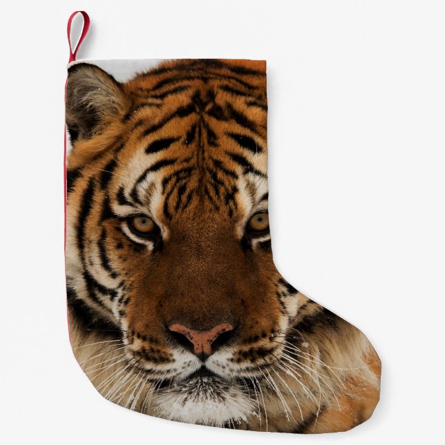 Head Shot of Siberian Tiger Liten Julstrumpa (Framsidan)