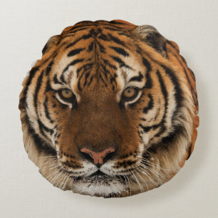 Head Shot of Siberian Tiger Rund Kudde
