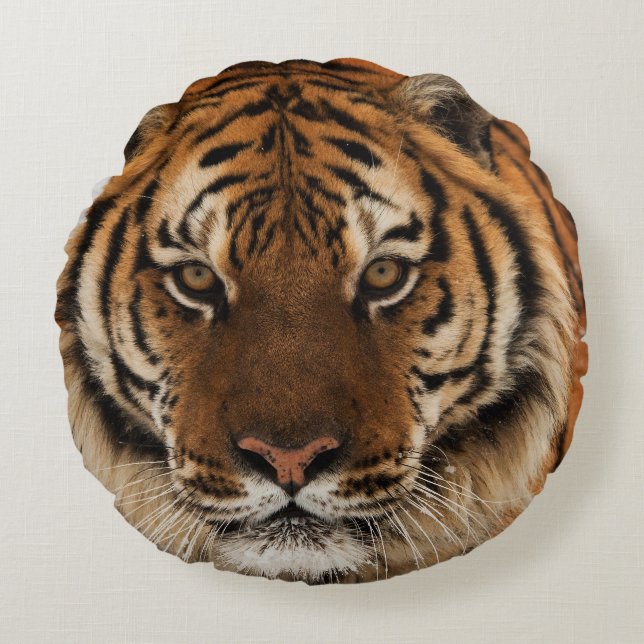 Head Shot of Siberian Tiger Rund Kudde (Framsidan)