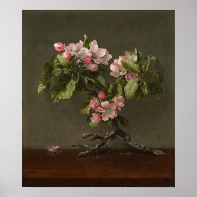 Heade - ÄppelBlommar Poster (Framsidan)