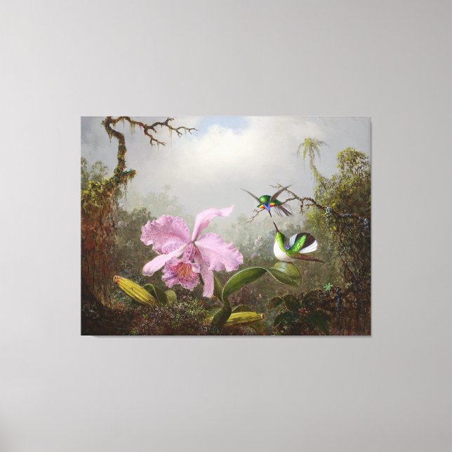 HEADE Cattleya Orchid med brasilianska hummingbird Canvastryck (Framsida)