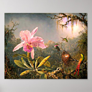 Heade - Cattleya Orchid och tre Hummingbird Poster