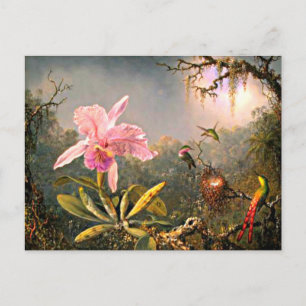 Heade - Cattleya orkidé och tre kolibrier Vykort
