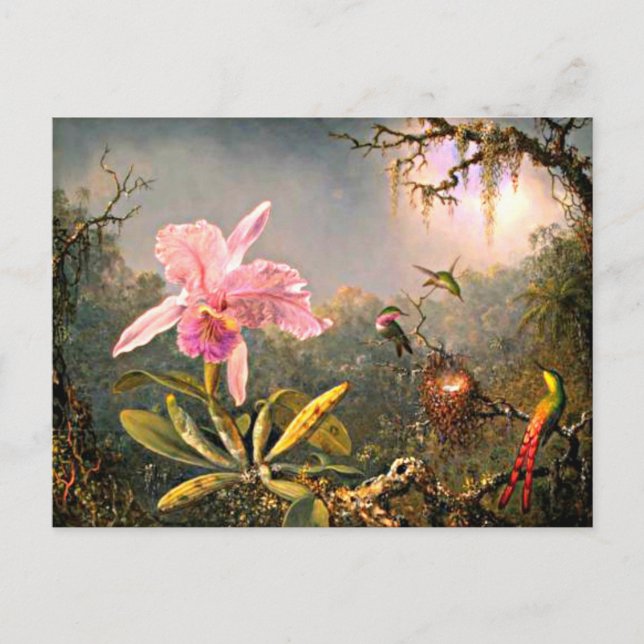 Heade - Cattleya orkidé och tre kolibrier Vykort (Framsida)