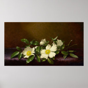 Heade - Cherokee Ro på Lila Trasa 1894 Poster