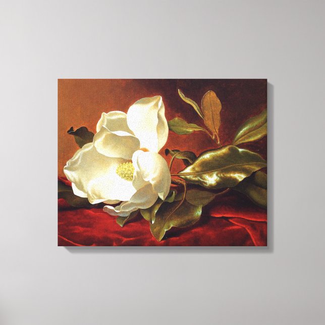 Heade - En Magnolia på Röd Sammet Canvastryck (Framsida)