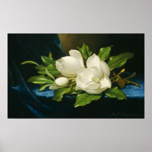 Heade - Giant Magnolias on a Blue Velvet Trasa Poster
