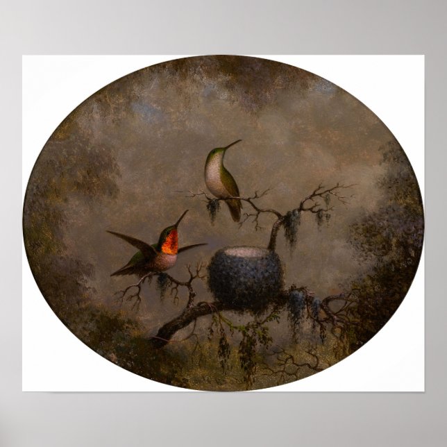 Heade - Hummingbird and their Nest 1863 Poster (Framsidan)